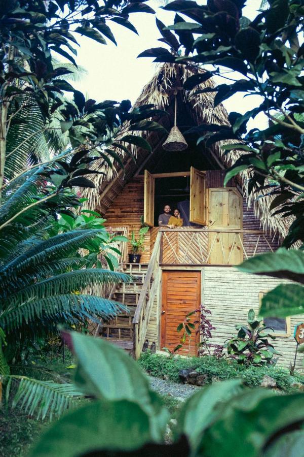 La Colmena Rd Hotel Samana Exterior photo