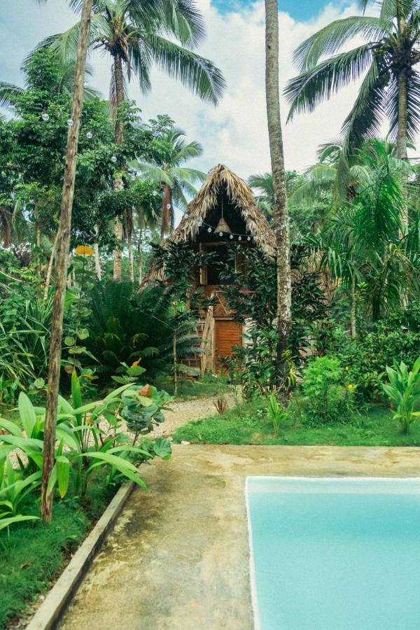 La Colmena Rd Hotel Samana Exterior photo